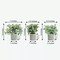 3 Frosted Green Gray 9" Assorted Mini Potted Artificial Plants Party Decorations